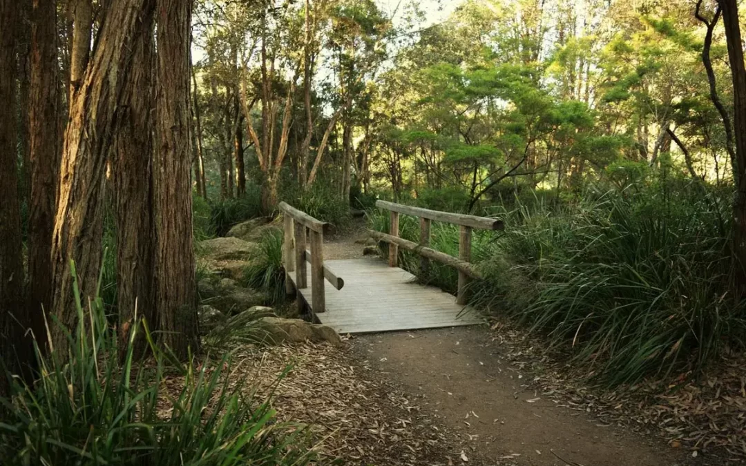 Gunbower Island Walk