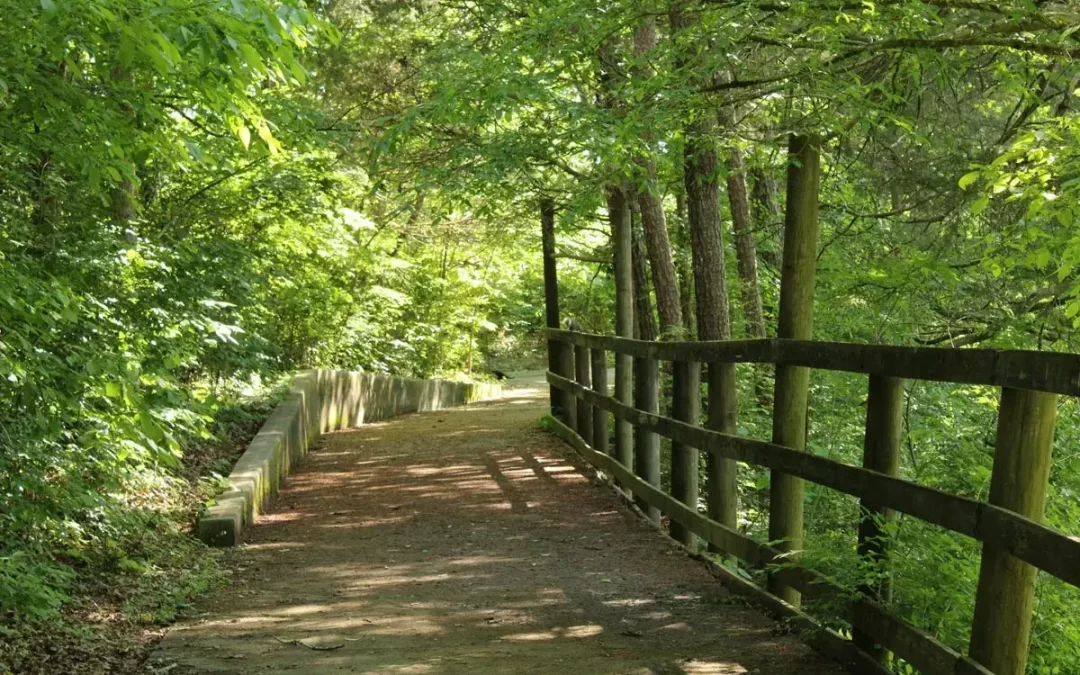 The Koondrook Barham Redgum Statue River Walk